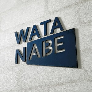 \D TC XeX ˌ ێO^JM CGS STC LGS-2 Iׂh 1