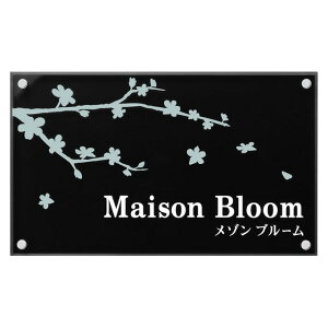 ێO^JM  Ŕ \D CGS KXANTC MECM2 500mm×300mm