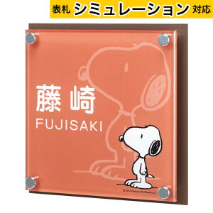 y\DV~[VΉiz\D Xk[s[TC AN{XeX NSPAIS-C4