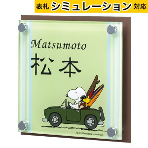 y\DV~[VΉiz\D Xk[s[TC AN{XeX NSPAISS-C7