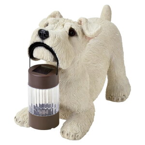 ZgNtg \[[I[ig ~j`AViEU[ SR-0890