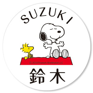 Iׂ鏑 l[TC ێO^JM Xk[s[by AN NSPWPR-W1-21 80mm×80mm