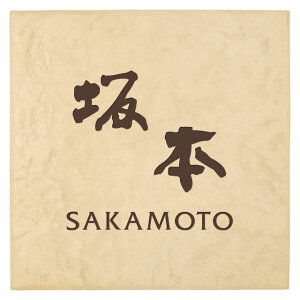 Iׂ鏑̂5 ێO^JM \D u`^C JXR-1-11(RQ) 195mm×195mm