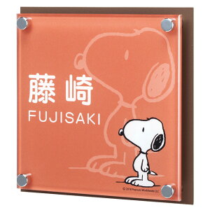 Iׂ鏑 I[_[\D ێO^JM Xk[s[TC AN{XeX NSPAIS-C4-24 150mm×150mm X^bht