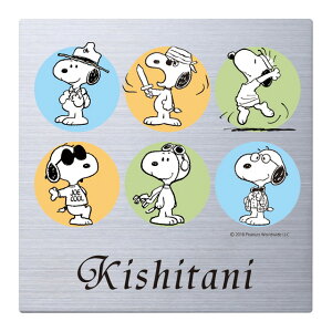 Iׂ鏑 I[_[\D ێO^JM Xk[s[TC XeX NSPMPS-S2-22 150mm×150mm X^bht