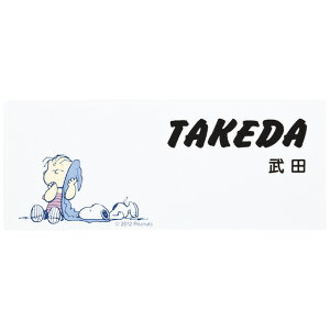 Iׂ鏑 I[_[\D ێO^JM s[ibcRNV Xk[s[ \D v[g AN SPAWA-2 145×58mm