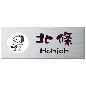 Iׂ鏑 I[_[\D ێO^JM s[ibcRNV Xk[s[ \D v[g XeX SPMPA-S-1 145×58mm