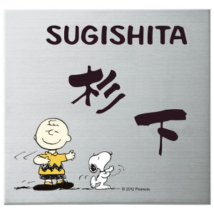 Iׂ鏑 I[_[\D ێO^JM s[ibcRNV Xk[s[ \D v[g XeX SPMPS-S-4 147×147mm