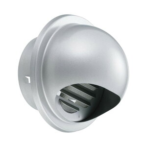 XeXC a 100 ی^t[htK F Vo[^bN XȐ쏊