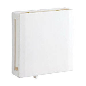 pC a 100 o[ F zCg  XȐ쏊