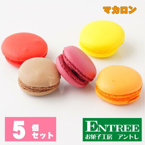 y}J5Zbgz@@Ε@ފ݁@َqH[Ag q̓ ̓  w S[fEC[N