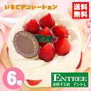 【イチゴデコレーション6号】 バースデー ケーキ 誕生日ケーキ お誕生日ケーキ ホールケーキ イチゴケーキ デコレーシ…