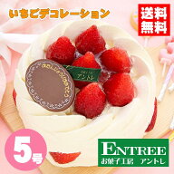 【イチゴデコレーション5号】ホールケーキ ショートケーキ お誕生日ケーキ バースデー イチゴケーキ イン…