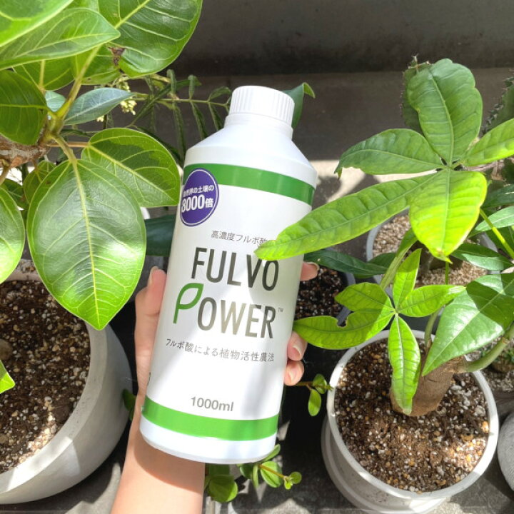 楽天市場 フルボ酸 植物活性剤 ミネラルキレート 天然活力剤 土壌改良 光合成促進 菌抑制 農業 ガーデニング 家庭菜園 園芸 観葉植物 Sdgs認定 1000倍希釈用 フルボパワー 1000ml Entre Square アントレスクエア