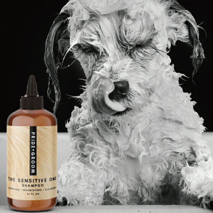 楽天市場 プライドドッグ センシティブ 475ml Pride Groom プライドグルーム ドッグシャンプー グルーミング 天然成分 敏感肌向け デリケートな犬 仔犬 お年寄りの犬 犬に優しい ココナッツオイル アボカドオイル ホホバオイル 高級 ナチュラル 抜け毛の多い 少ない 犬