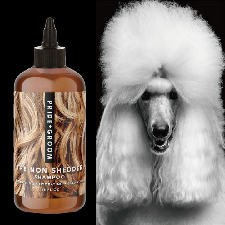 楽天市場 プライドドッグ ノンシェダー ペットシャンプー 475ml ドッグシャンプー グルーミング 天然成分 犬に優しい 抜け毛の少ない犬種 保湿効果 ココナッツオイル アボカドオイル ホホバオイル P G アメリカ製 セレブ 高級 ナチュラル 梅雨 お散歩 Entre Square