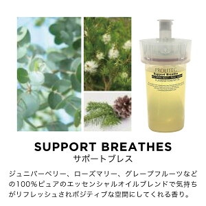 yN[|Ώہz PROLITEC(vebN) A}fBt[U[ ypJ[gbWz }CNtOX AirQ160 A} tOX fBt[U[ tOX [tOX J