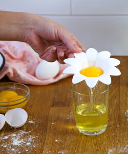 yN[|Ώہz PELEGDESIGN fCW[ GbOZp[^[