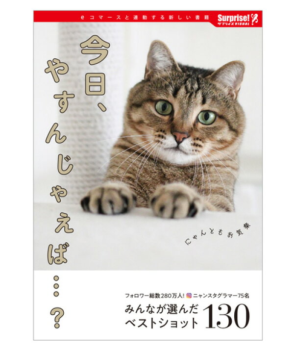 楽天市場 今日 やすんじゃえば サプライズbook 猫 癒し インスタグラマー キャット ネコ スター 有名猫 Entre Square アントレスクエア