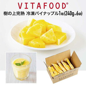 ⓀpCibv y240g×6pbN / 1zVITAFOOD oC^t[h ̏㊮n Ⓚt[c  Vitamix oC^~bNX X[W[ ֗pbNysACez