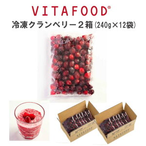 ⓀNx[ y240g×12pbN / 2zⓀt[c  VITAFOOD ̏㊮n ʕ t[c X[W[ fU[g Vitamix oC^~bNX _CGbg R_@  r^~ yf H@