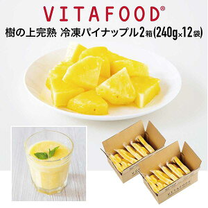 ⓀpCibv y 240g×12pbN / 2zVITAFOOD oC^t[h ̏㊮n Ⓚt[c pbN  Vitamix oC^~bNX X[W[ ֗pbNysACez