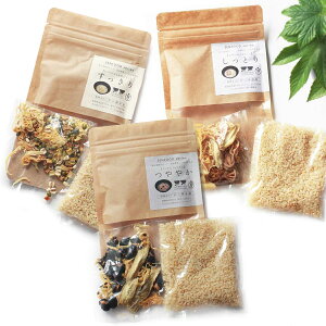 ySALEN[|Ώہz V J_ggmGZbg V   }`|bg  ύ h{oX J[ N e ȒP ֗ ZENFOOD [t[h  Ƃ ₩ 