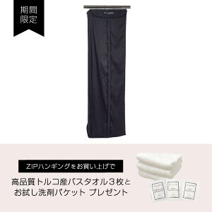 コート 収納 ケースの人気商品 通販 価格比較 価格 Com