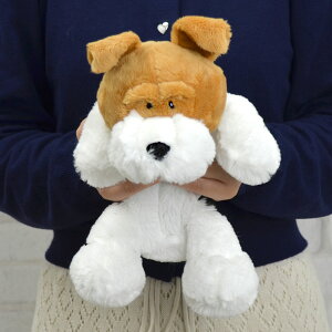 y{K㗝XzNICI(jL) tBMA|[` CA[tHbNXeA (fi01p) 2508CP