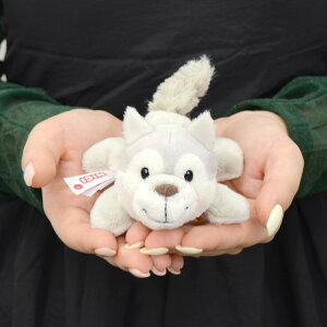 y{K㗝XzNICI(jL) MN FF2024 Et EBj[ 12cm (gr01m) 2508CP