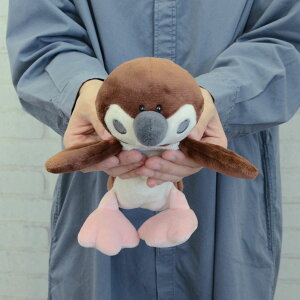 y{K㗝XzNICI(jL) Bird XY tBMA|[` (fi01p)