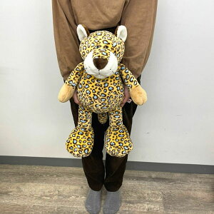 y{K㗝XzNICI(jL) ʂ p[h 50cm ChtY Mtg v[g  Aj} ^ qE lC (gr02m) WFRS NS11