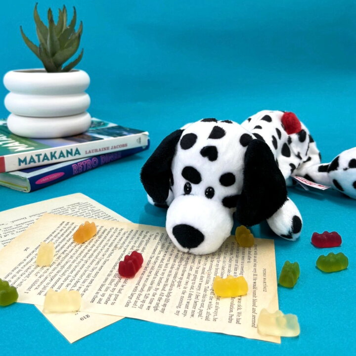 楽天市場 Nici ニキ フィギュアポーチ ダルメシアン ペンケースペンポーチ ポーチ 筆箱 ふでばこ 文具 文房具 ステーショナリー ぬいぐるみ 動物 アニマル かわいい ギフト プレゼント 誕生日プレゼント 高校生 中学生 犬 ドッグ 雑貨 日本総代理店 Entrex