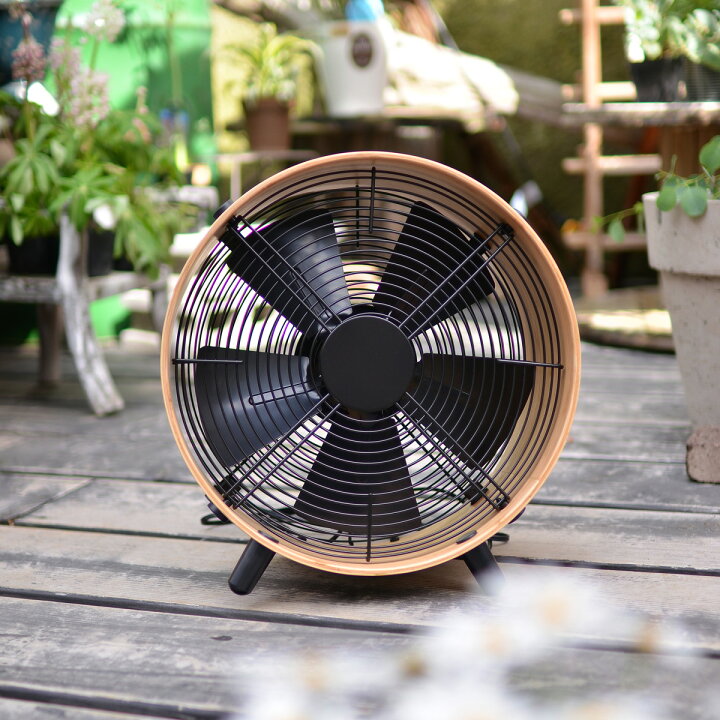楽天市場】【夏のイチオシアイテム！特別クーポン付】【日本総代理店 