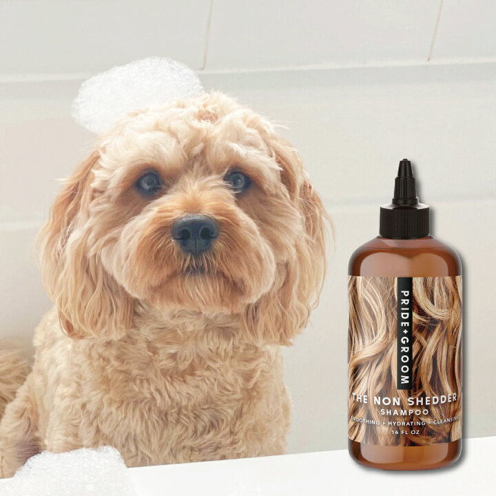 楽天市場 プライドドッグ ノンシェダー ペットシャンプー 475ml ドッグシャンプー グルーミング 天然成分 犬に優しい 抜け毛の少ない犬種 保湿効果 ココナッツオイル アボカドオイル ホホバオイル P G アメリカ製 セレブ 高級 ナチュラル 梅雨 お散歩 Entre Square