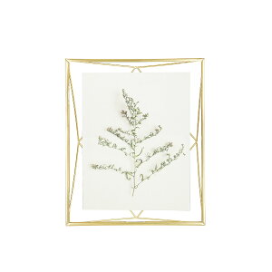 yN[|Ώہz tHgt[ vY} tHgfBXvC 8X10 }bguX tHgfBXvC t[ vY}V[Y fBXvC ^ vY ʐ^ tHg t[ M