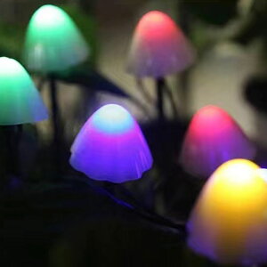 zpl[d AEghACg 600MA LmRCg \[[}bV[XgOCg h  eX K[f p[eB[ EFfBO tFXeBo fR[V 12C