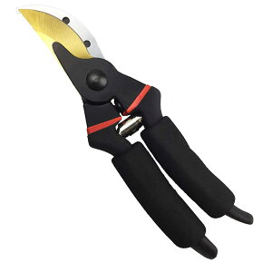  SK-5X`[n `^R[eBO oCpX^Cv ϋv |p͂݁Aʎ ؂̙ ~͙蓹뉀 ΂