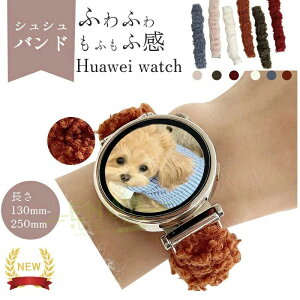 HUAWEI WATCH GT 6 5 �o���h �x���g ����Ȃ� �ʋC�� �y�� �L?�� �V���V���o���h �e�͐� �t�@�[�E�F�C �E�H�b�` GT6 �����o���h �z 46mm