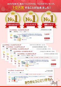 デイリーランキング