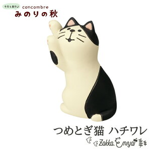 y111őP24.5{zRRu ݂̂̏H ߂ƂLn` concombre u  fR