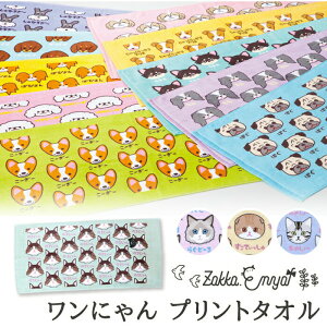 y111őP24.5{ztFCX^I  L ^I vg 100%  ˂ ɂvg^I _bNX ps yLj[Y R[M[ V[Y[ WbNbZeA `