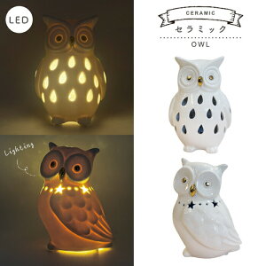 NX}X LED Z~bN IE ӂ낤 tNE  Cg v  IuWF CeA u Z~bN   zCg fR[V Mtg v[g 킢 AeB