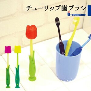 uV Lbvt 킢  ͂Ԃ炵 nuV zՕt z  t^t ӂt lp  `[bv v[g Mtg Q ii ei [Jpj[ t