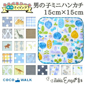 v`Mtg    w ~jnJ` nJ` q { K[[ O^O  100 H ^I  킢 v[g ct ۈ牀 15cm 15×15 a  w   