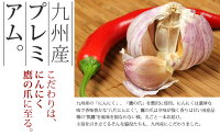 博多和風醤油牛もつ鍋セット【送料無料】【あす楽対応】国産牛のもつ鍋セット≪約2〜3人前≫国産牛小腸100%の博多もつ鍋。和風醤油味の絶品スープのモツ鍋。お歳暮ギフトにも。楽天通販で販売