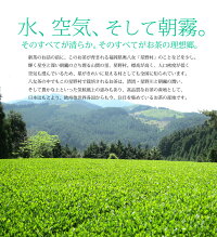 奥八女星野村深蒸し高級煎茶_母の日ギフトに。