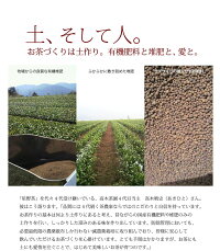 新茶