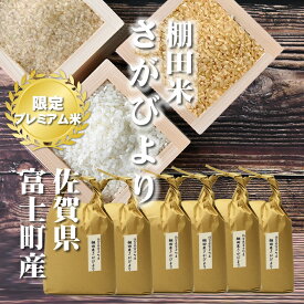 米 九州のお米 棚田米 さがびより [一等米][特A米]佐賀県富士町産30kg[5kg×6][令和5年産]玄米、胚芽米、分づき米、白米まで。分つき米は健康米。高級な特Aの1等米 サガビヨリ30キロ（5キロ毎に分づき承ります）出荷日精米 【送料無料（一部地域を除く）】