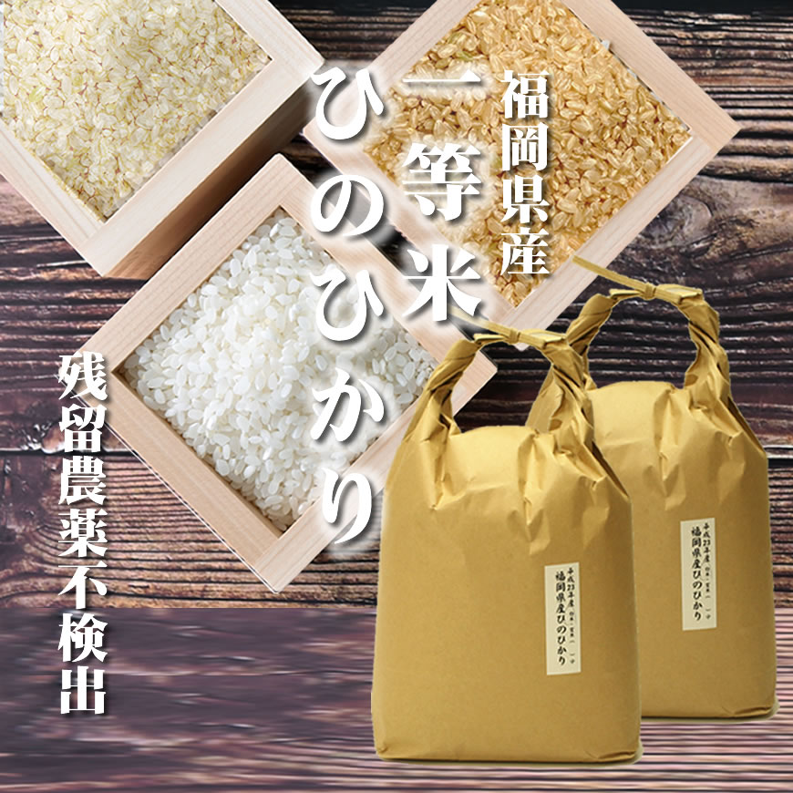 米 ひのひかり [一等米・残留農薬不検出][特A米]福岡県産 10kg[5kg×2][令和4年産] 玄米、分づき米、胚芽米、白米まで。健康米。 ヒノヒカリ10キロ（5キロ毎に分づき承ります）出荷日精米 お米のギフトにも お祝い お中元 ギフト